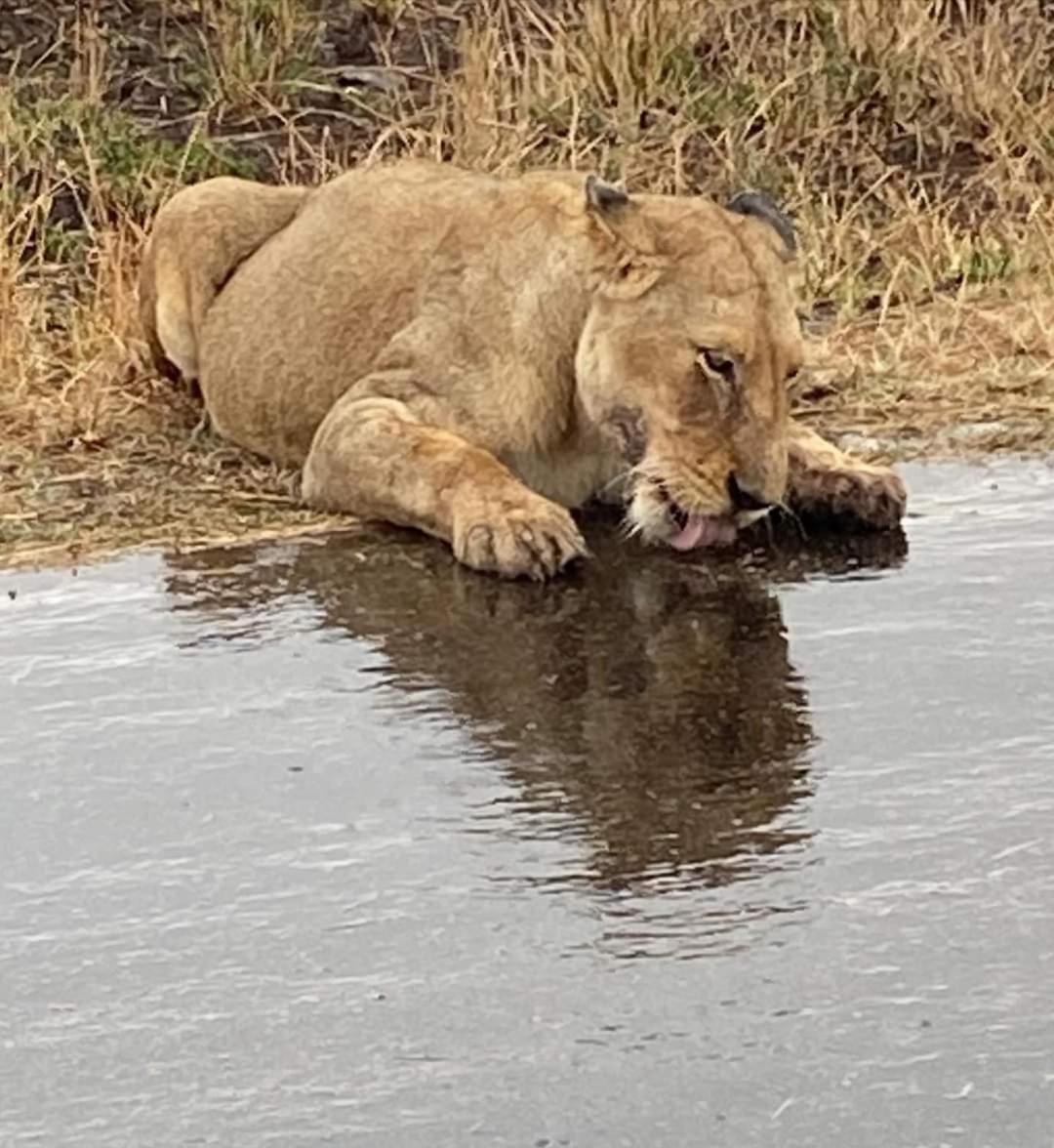 Overnight Stop Before Kruger National Park Phalaborwa Buitenkant foto